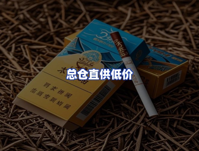 专业团队